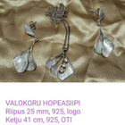 VAKOKORUN HOPEASIIPI -korusetti, hopeinen - pikkukuva 1