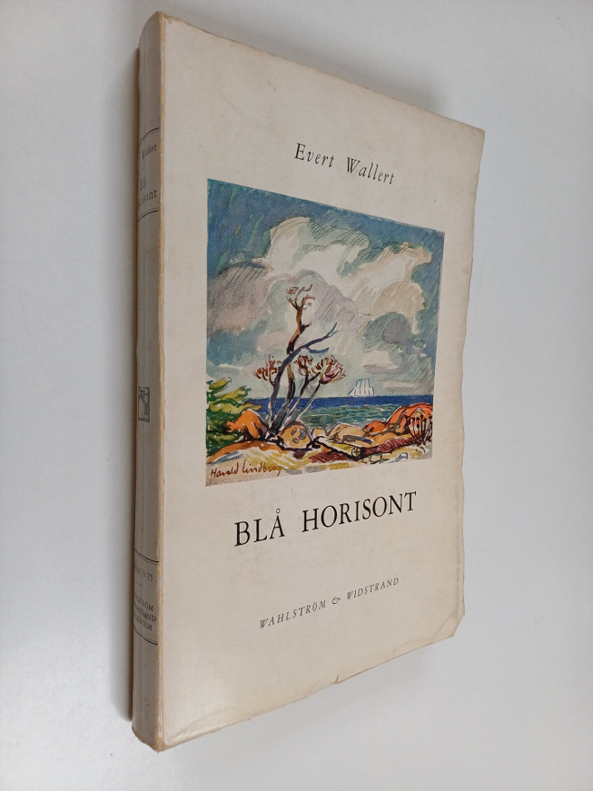 Wilbur Smith : Blå horisont