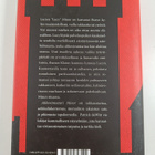 Patrick DeWitt : Alihovimestari Minor - pikkukuva 2