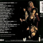 New York Dolls - Rock 'N Roll CD - pikkukuva 2