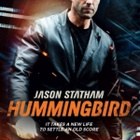 Hummingbird - DVD - pikkukuva 1
