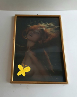 Seinätaulu