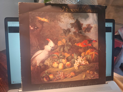 Procol Harum – A Salty Dog Vinyyli