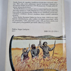 Vasili Suksin : Stenka Razin - pikkukuva 2
