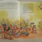  Why is the Toad Called the Emperor of Heaven’s Uncle - pikkukuva 3