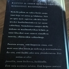 Hannele Koivunen - Laura Virkki : Vain unen varjo - pikkukuva 2
