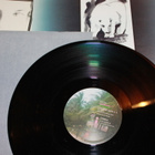 Cat Stevens - Foreigner LP - pikkukuva 3