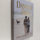Danielle Steel : Päivä kerrallaan - pikkukuva 1