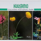 KUUSAMO-KULKEMATON POSTIKORTTI - pikkukuva 1