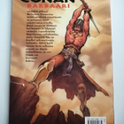 Busiek, Kurt & co: Conan Barbaari: Paratiisin portit - pikkukuva 2