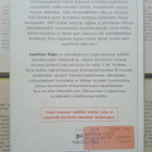 Bret Easton Ellis - Amerikan psyko (sid.) - pikkukuva 3