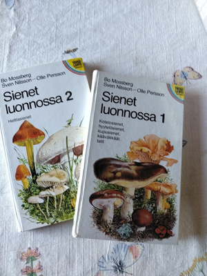 sienet lunnossa 1-2