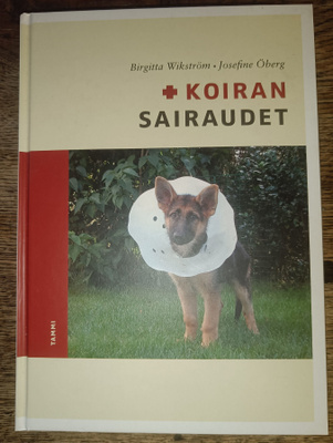 Koiran sairaudet