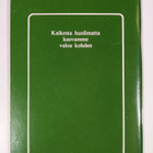 Irja Kilpeläinen : Sairaalassa - pikkukuva 2