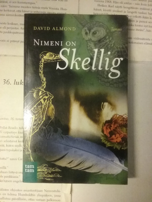 David Almond - Nimeni on Skellig (pokkari)