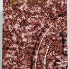 Rahasarja Markka Suomi 1999/2 BU - pikkukuva 4