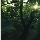 Sadetanssi • Suuria Satuja CD - pikkukuva 3