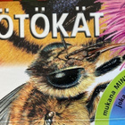 ÖTÖKÄT - pikkukuva 1