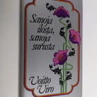 Sanoja ilosta, sanoja surusta - pikkukuva 1
