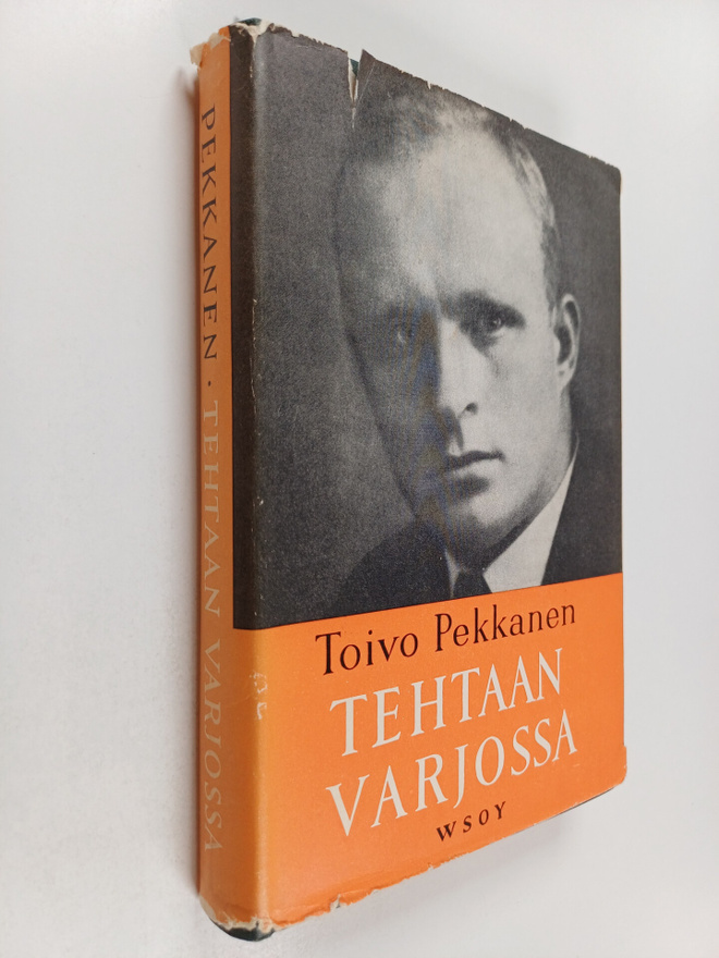 Toivo Pekkanen : Tehtaan varjossa