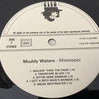 MUDDY WATERS - Mississippi - pikkukuva 3
