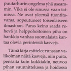 Pentti Alanko: Palavarakkaus ja särkynytsydän - pikkukuva 3