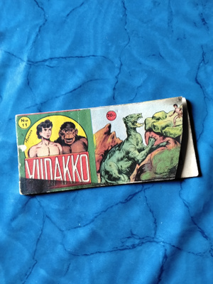 viidakko 1vsk 11