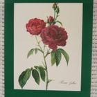 Taidejuliste/art print, 4 kpl ruusuaiheisia, P-J Redoute - pikkukuva 2