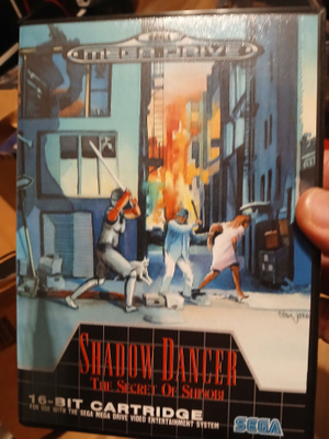 Shadow dancer the secret of shinobi