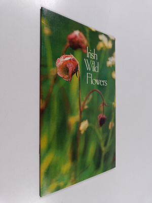 Ruth Isabel Ross : Irish Wild Flowers