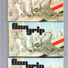 Suksi-side, 3 + 3 Finn Grip Polar ja Finn Grip Racing 50. - pikkukuva 2