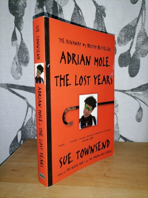 Sue Townsend - Adrian Mole - The Lost Years