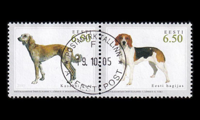 Eesti 531-2p2 o Metsästyskoiria pari (2005)