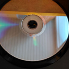 Forest Warrior dvd - pikkukuva 4