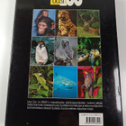 Uusi zoo : suuri eläinkirja 5 : Linnut 2 - pikkukuva 2