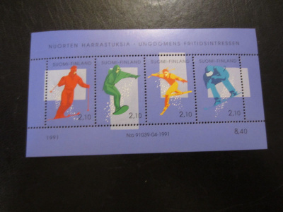 1991 BL8 Nuorten harrastuksia - laskettelu **