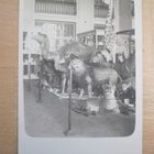 VANHA Valokuva Eläinmuseo Helsinki 1920-luku - pikkukuva 1