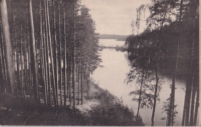 Punkaharju,   wanhakortti      b481