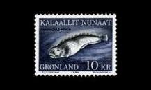 Grönlanti 154 ** Kissakala (1984)