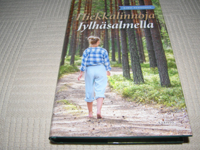 Kirsi Pehkonen Hiekkalinnoja Jylhäsalmella -sid