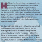 Andrea Wandel: Meidän jengi - pikkukuva 3