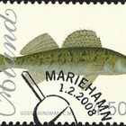 Åland 2008 Kaloja Kuha 4,50 € EP alareuna LOISTO LaPe 288 - pikkukuva 1