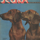 Seura n:o 40 1959 Kaunis nainen kautta aikain. - pikkukuva 1