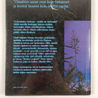 Sanoja elämän tarkoituksesta : Saarnaajan kirja - pikkukuva 2