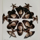 Ramones Johnny Ramone valokuva 45*30 cm DuBose Signeraus - pikkukuva 1