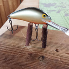 Salmo Floating 4cm SDR - pikkukuva 1