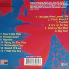 Jayhawks - Sound of Lies (hienokuntoinen cd-levy) - pikkukuva 2