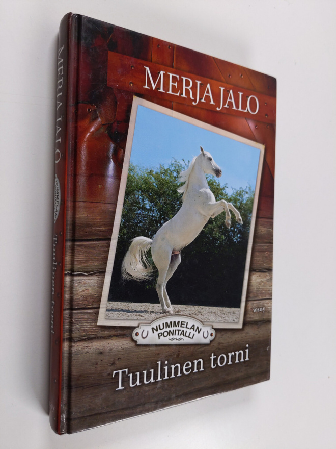 Merja Jalo : Tuulinen torni