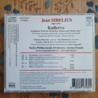 Sibelius : Kullervo - pikkukuva 2
