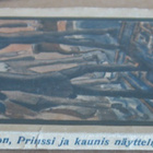 Stein Riverton: Prinssi ja kaunis näyttelijätär, Otava 1919. - pikkukuva 2